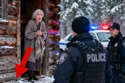 ” An Old Woman Took In Two Freezing Dogs — The Next Morning, Police Surrounded Her House!”