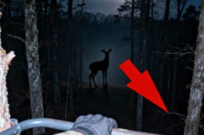 Alone on the West Side, I thought I was tracking a trespasser, but what walked out of the brush and called my name has left me terrified of the dark.