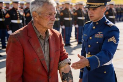 I stood there in my worn red blazer, just another old man in the crowd, watching my grandson Michael stand tall in his dress blues. I hadn’t felt pride like that since before my own son, Michael’s dad, was killed in Iraq. I was just trying to get a better look, to catch his eye, when a shadow fell over me. It was a Sergeant Major, his uniform immaculate, his eyes cold. He didn’t see a fellow Marine; he saw a trespasser. And then he saw the faded wolf tattoo on my forearm. His sneer told me everything I needed to know about what was coming next.
