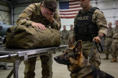 I knew the moment that police K9 locked eyes on me, my life as I knew it was over. I’ve faced some scary things in the service, but nothing compared to the terror I felt when that German Shepherd stopped dead in his tracks and pointed his ears right at my duffel bag. My heart hammered against my ribs like a trapped bird. I didn’t care about the consequences for my career; I only cared about the fragile secret hidden inside that bag. If they opened it, everything was going to fall apart.