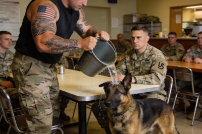 The sound of the metal pipe hitting Rex wasn’t loud, but it shattered my world. It wasn’t a whimper; it was a sound of betrayal. I had promised him safety. I had promised him peace. The man laughed, swinging the pipe loosely in his hand, thinking he had broken me. He saw a guy in a worn-out jacket freezing in the mountain air. He didn’t see the years of training I was holding back. He didn’t see the calculation in my eyes. He thought he was the predator. He was about to learn he was just prey.