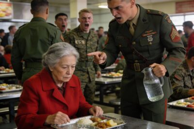 The entire mess hall went dead silent. The only sound was the steady drip of ice water hitting the linoleum floor. That arrogant young Lance Corporal stood over her, smirking, holding the empty cup upside down. He had just drowned an old woman’s lunch in cold water because he thought she was sitting in the wrong section. My stomach twisted into knots. I wanted to jump over the table and grab him, protocol be damned. But I just sat there, frozen, watching this sweet-looking grandma in a red tweed jacket stare down at her ruined mashed potatoes. It was the most shameful thing I’d ever seen wearing this uniform.