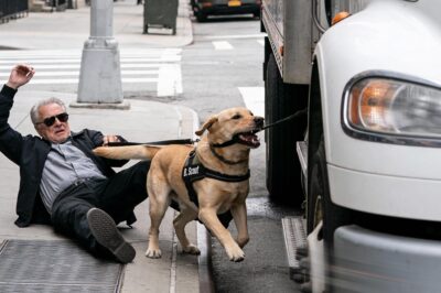I Fought My Guide Dog on a Cleveland Street Corner and Almost Paid With My Life…