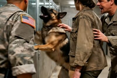 They Told Him He Was Broken. They Told Her She Was Dead. But When This “Killer” Dog Saw a Ghost in the Bleachers, 500 People Witnessed a Miracle That…