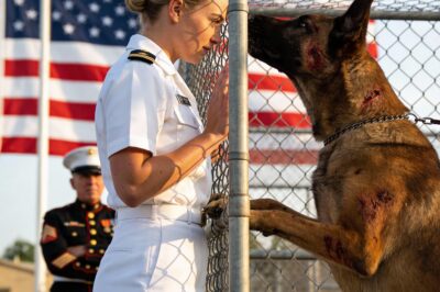 The Ghost in the Machine