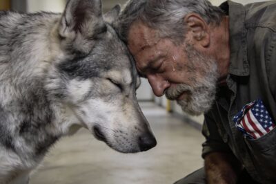 They Called Him a Monster and Ordered His Execution, But I Saw What No One Else Could—The Ghost of the Soldier I Left Behind in the Dust of Kandahar. When I Looked into the Eyes of That “Vicious” Beast, I Didn’t See a Killer; I Saw a Reflection of My Own Broken Soul, Screaming for a Rescue That Never Came. I Knew I Had to Save Him, or Die Trying.