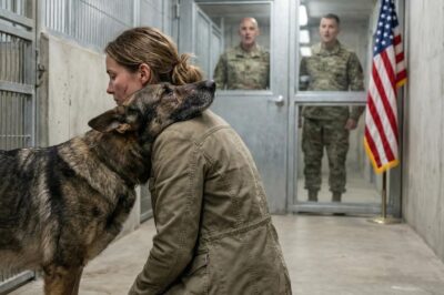 They Erased My Name, Buried My Service, and Left My Soulmate to Die in a Concrete Cell — But When I Walked Out of the Shadows at Fort Bridger to Save the “Broken” Beast That Everyone Feared, I Didn’t Just Reveal a Classified Secret; I Ignited a War Against the Very Monsters Who Thought They Could Dispose of Us Like Garbage
