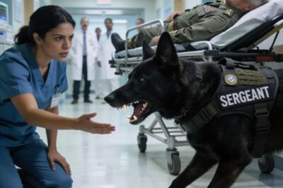 The Silent Soldier: The Secret Code That Saved a General