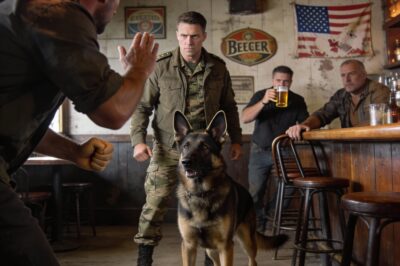 THE SILENT VETERAN’S VOW: How One Act of Cruelty Toward a Loyal Dog Awakened a Navy SEAL’s Buried War, Turning a Forgotten Mountain Town into a Battleground for Justice, Retribution, and the Kind of Consequences That Can’t Be Outrun