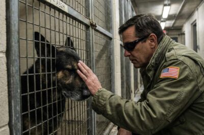 They Called Him a Monster and Locked Him in the Dark to Rot, Claiming He Was Too Broken to Be Loved. But When I—A Blind Veteran Who Had Lost Everything—Walked Into That Kennel of Nightmares, I Didn’t Hear a Beast. I Heard a Cry for Help That Echoed My Own Shattered Soul. They Screamed at Me to Run, But I Knew I Had Finally Found the One Thing Worth Dying For.