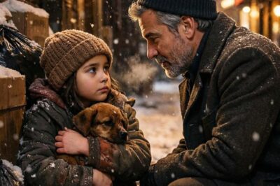 I Stopped My Limo for a Homeless Girl Freezing in NYC, But When I Saw the Photo in Her Pocket, I Realized She Wasn’t a Stranger—She Was…
