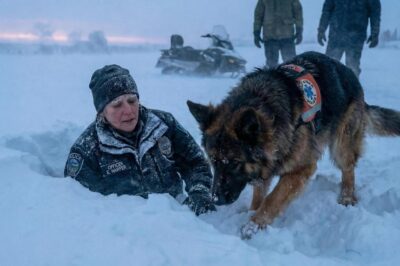 The Bone-Chilling Moment Officer Emily Harper Was Left for Dead in a Blizzard—Until a Guardian with Four Paws and…
