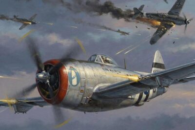 German Pilots Called the P-47 a “Flying Milk Bottle” — Until Eight .50 Shredded Their Planes