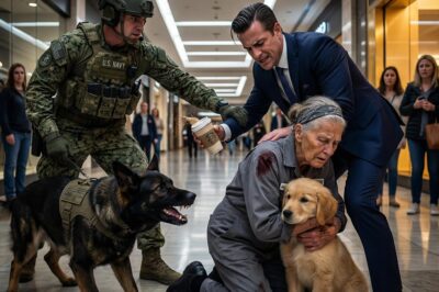 THE INVISIBLE WAR: They Laughed As They Poured Scalding Hot Coffee On An Elderly Janitor’s Face And Dangled Her Rescue Puppy Over A Fountain For Viral Fame, Completely Unaware That Her Son—A Navy SEAL Commander Trained In Asymmetric Warfare—Was Watching From The Shadows, Recording Every Second Of Their Cruelty To Build The Ultimate Weapon To Destroy Them.