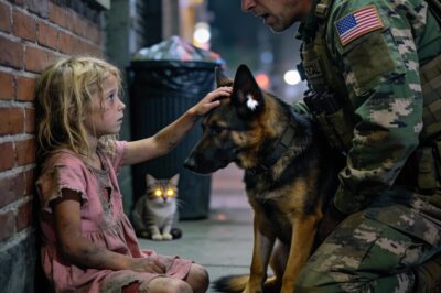 THE SCARS OF A SOLDIER: THE DOG WHO SAW WHAT I COULDN’T