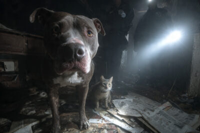 My mother lived like a beggar while I sent her $1,000/month. Years later, a rusty cookie tin revealed her love was a weapon meant to save me, but it nearly destroyed us all.