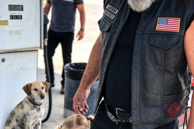 The Gas Station on the Edge of Nowhere