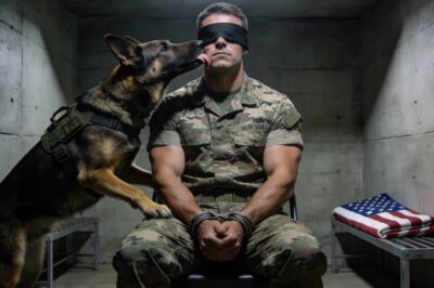 They told my Captain to call it. To pack up and leave me for dead. Ninety-six hours had passed, and the search had turned up nothing. They were ready to hold a memorial service for a man who was still breathing, still fighting in the dark. But they didn’t count on him.