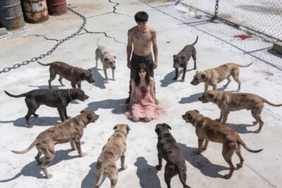 He became a human shield against a sea of yellowed fangs.