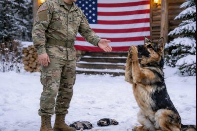 The silence in that frozen field was heavier than a battlefield, signaling a different kind of war was about to start right here at home.