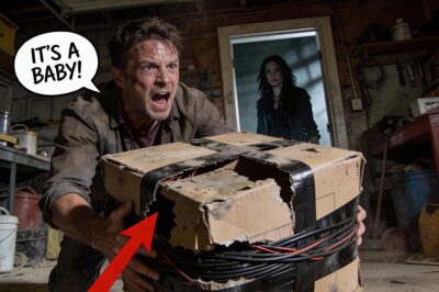 I Found A Box In My Pleasant Grove, Utah Garage That Changed Everything… And Then The Cops Found 6 More