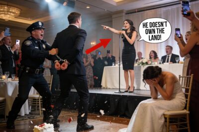 My Wife Thought She Could Take Half My Estate In New York To Fund Her Lover’s “Dream Project,” But She Didn’t Know I Bought The Land Underneath Them And Turned Their Wedding Into A Crime Scene.