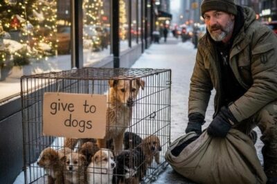 They Left Her and Her Puppies to Freeze in a Cage on Fifth Avenue. They Didn’t Know a Retired Navy SEAL Was Watching — And…