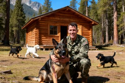He Thought Isolation Was Peace, Until a German Shepherd Family Made His Cabin a Home—and Turned Painful Sound Into Hope Once More