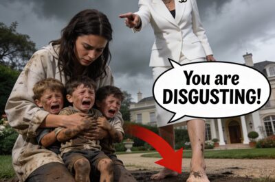 The Billionaire of Manhattan Was Shocked By What The New Nanny Did With His Sons in The Nursery.