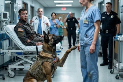 They Erased My Name, Buried My Service, and Forced Me to Live as a Ghost in Scrub Tops, But When a Dying Navy SEAL and His War-Torn K9 Crashed Through the Doors of My Emergency Room, The Government’s Perfect Lie Unraveled in a Single, Heart-Stopping Second: The Dog Didn’t Attack Me—He Stood Tall, Raised His Paw, and Saluted the Commander Everyone Said Was Dead.