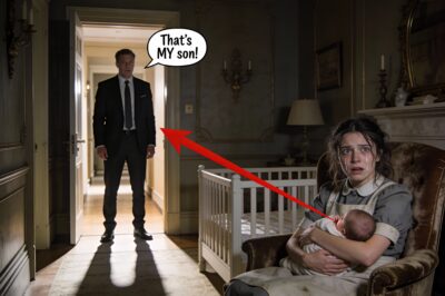 I Came Home Early To My Estate In The Hamptons And Caught The Maid Breastfeeding My Son—What I Did Next Shocked The Whole Neighborhood!