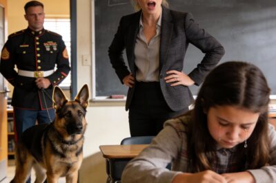 Teacher Mocks Girl, “Your Dad’s Just a Marine” — Then Freezes When He Walks In With His K9…