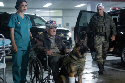 They Fired Me On The Spot For Breaking Protocol To Save A Dying War Hero, But They Didn’t Know I Had A Secret Past. I Stood In The Rain, Humiliated And Jobless, Until The Ground Started Shaking. Suddenly, A Convoy Of Black Ops SUVs Surrounded The Emergency Room, And A Commander Stormed Through The Doors With One Question That Made My Former Boss Tremble: “WHERE IS THE NURSE WHO SAVED MY DOG?”