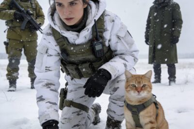 “They called my sniper cat a ‘useless pet’ and ordered me to leave him behind in the freezing storm…So I smiled, said ‘Understood, Sergeant,’ and let them walk blindly into the ambush they couldn’t see. Now they salute the ‘furball’ before every mission, and the officer who mocked him begs for his help.”