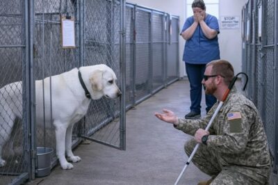 They Warned Him About the Dog — Then the Blind Veteran Stepped Forward, And…